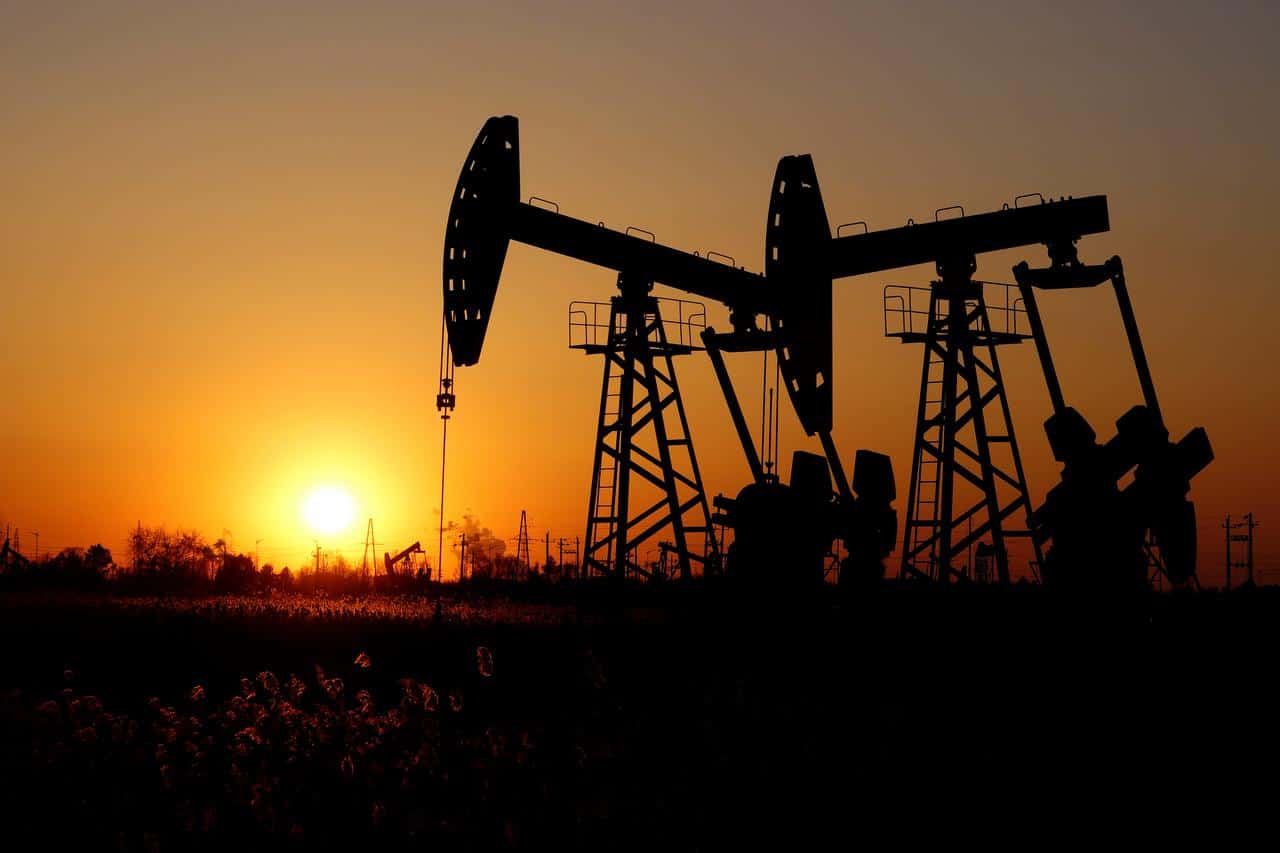 Bloomberg Forecast Sees $5 a Barrel Oil Price