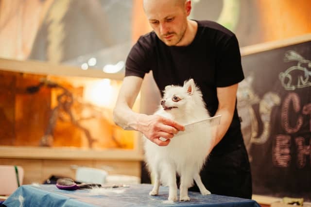 pets Grooming service