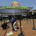 The Latest: San Diego zoo vaccinates 9 great apes for virus