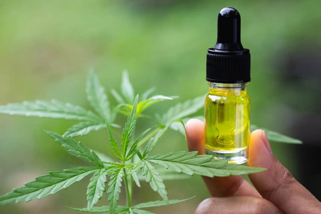 Too Much Competition Has Caused A Massive Drop In Sales For Many CBD Companies