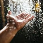 Filtered Bliss: Unveiling the Importance of Bathtub Filters
